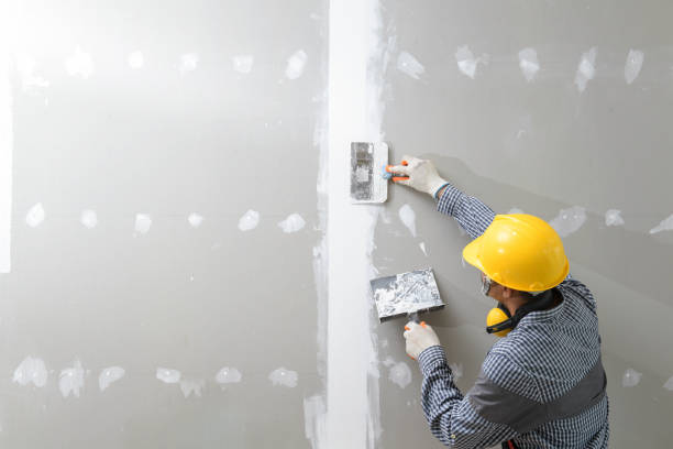 Best Environmental Consulting for Mold Prevention  in New Stanton, PA